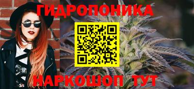 круглые Кингисепп