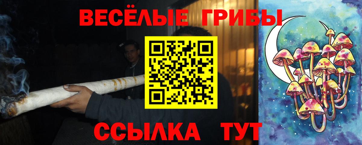 Ленинск-Кузнецкий  где продают   Вход с VPN  Псилоцибиновые грибы Magic Shrooms 