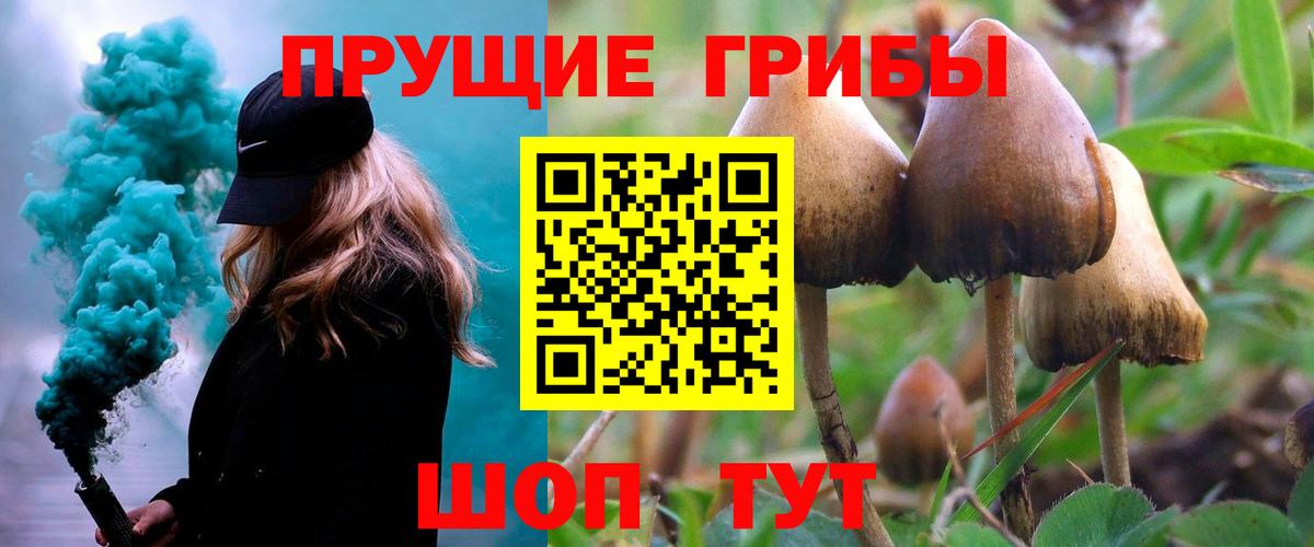 Псилоцибиновые грибы ЛСД Ленинск-Кузнецкий
